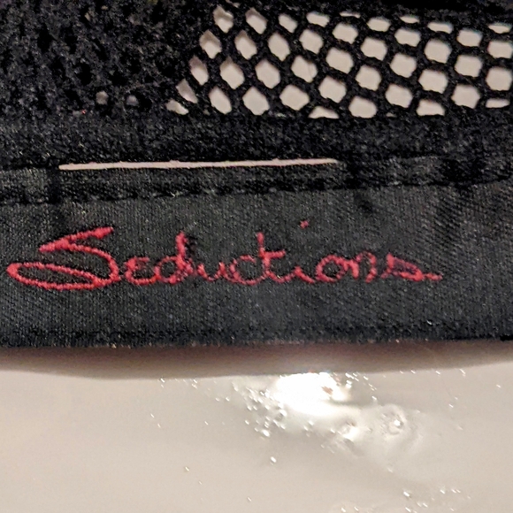 Fishnet Bodysuit - Picture 3 of 4